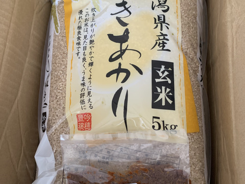 「お米グランプリ2025   4部門受賞🏆」新潟県産　つきあかり  5キロ  玄米  令和7年産　お米　(72)