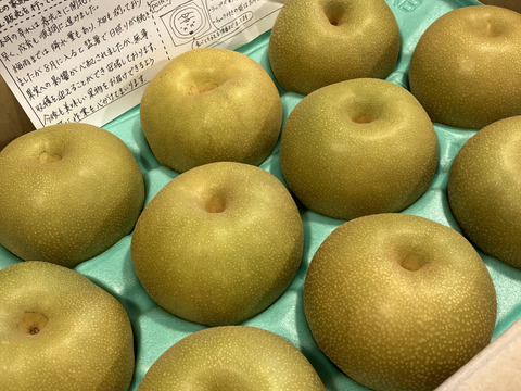 【予約】梨 幸水 良品5kg‼️長野県産