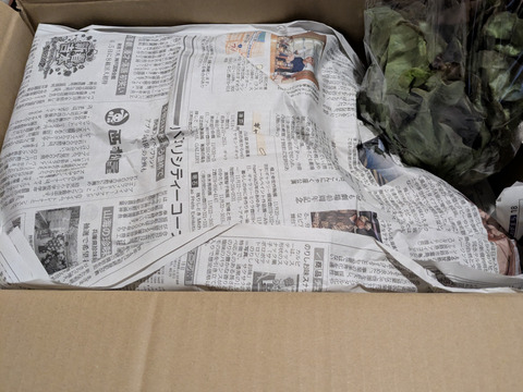 大好評，地層が違う淡路島、新玉ねぎスーパーアップ5キロ(風袋込み)