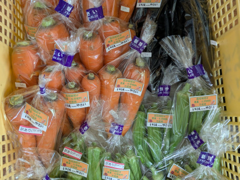 博多の夏野菜セット　7品