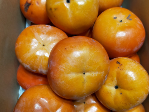 ⭐︎収穫最終期SALE⭐︎【送料500円引き】和歌山・橋本産オレンジの宝石✨　🍁富有柿　5kg🍁
糖度最高レベルをお召し上がりください！！！『橋本ふるさと便』