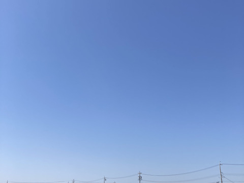 もっちり！ふっくら！粒が大きい！こだわりの新米つきあかり玄米10キロ令和6年産三重県産