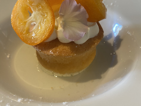 【フリル咲パンジー】40輪　※終了しました。