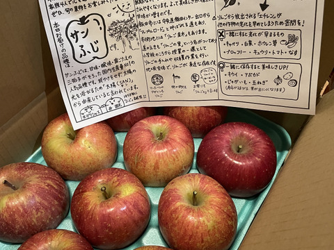 ご家庭用　サンふじ　約3kg(7個〜14個)