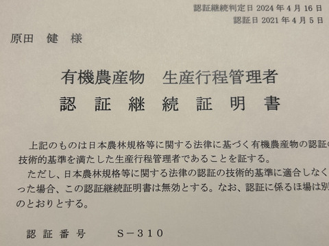 国産有機ニンニクの芽　500g【期間・数量限定】つぼみ付き