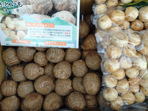 【超便利！すぐ調理できる里芋付き】煮ても揚げても絶品里芋（3㎏）ホクホク「勝ち山さといも」カットしやすいL~LLサイズ＋新商品！里芋の「洗い子」付きプラン（アンケート回答必須）【福井県勝山市】