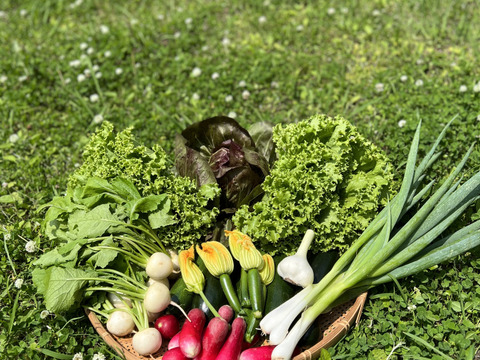 【母の日🌷】【有機JAS認証取得】🌱安心島の旬野菜と平飼いたまご10個セット🥬🥚Happy Mother's Day ! Organic Vegetables4〜5&10Eggs