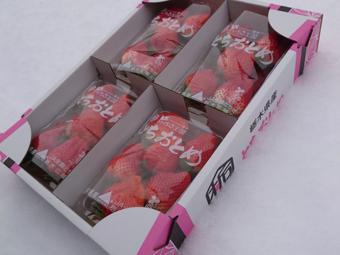 いちご とちおとめ グランデ（形ランダム）ビッグサイズ品