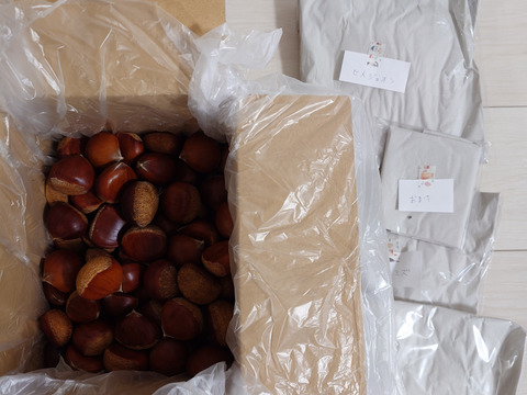 自然栽培の栗1.5キロと食べて美味しい野草3種のセット⭐オマケ付き⭐⭐️⭐️⭐️⭐️