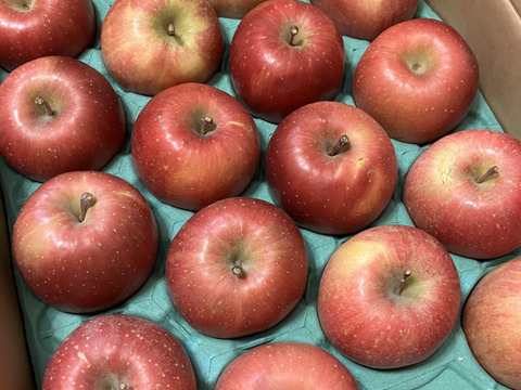 【毎年１万箱以上売れてます】約５キロ 青森県産りんご「樹上完熟葉とらずふじ」家庭用厳選品