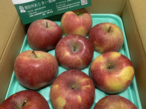 【予約販売・数量限定】長野県産りんご３㎏（サンふじ）（１２月発送）