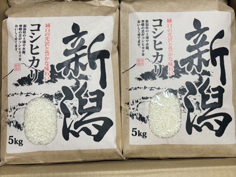 🎯新米受付🌅朝市限定5%off🌅5000円🌾5kg×2🍚10kg🌾お米ソムリエ監修🌾令和6年新潟県五泉市四ヶ村産🌾特栽米コシヒカリ🙋なんと😲❇️5000円❇️激安特価‼️