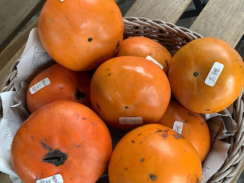 【希少3品種　柿食べ比べセット訳ありお値打ち1.2㎏】愛秋豊・太雅・太豊(栽培期間中　農薬不使用)