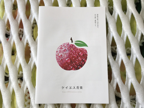 【贈答用】 青森県産りんご「ぐんま名月」 約5kg【爽やかな甘み】