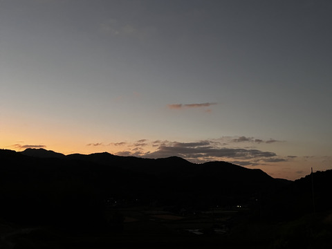 【安納芋】Mサイズ2キロ【生姜】1.4キロ