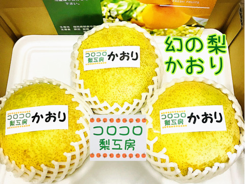 今が旬です😋【幻の梨⁉️】かおり贈答用約2.5kg(特大3~4個入)✨️メロンのような甘い香りでとってもフルーティー✨シャキシャキでキメ細か✨️豊水にも負けない果汁量💦