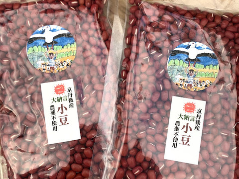 自然栽培　京丹後産　R７年産新豆　京都大納言小豆　200ｇ×２