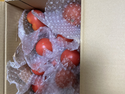 【新年度割引中】【恋(濃)トマト】最高糖度12度！野菜を超えたフルーツのような濃厚な味わい「恋(濃)トマト(1kg)  【母の日ギフト】」