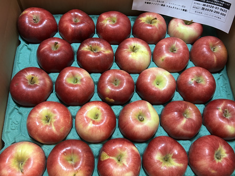 シナノプッチ5キロ箱 訳あり品 商品ID98182 長野県 信州 安曇野 リンゴ 幻 幻のリンゴ 予約 希少 旬