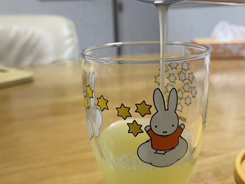 国産グレープフルーツ（Sサイズ150ｇ～200ｇ）箱込み4.8キロ以上＊小ぶりな為、生絞りジュースでお召し上がり上がりください。