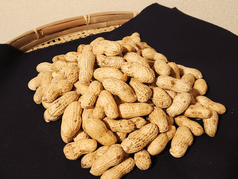 栽培期間中農薬化学肥料なし】おおまさり 生落花生 1.0kg 3.0kg