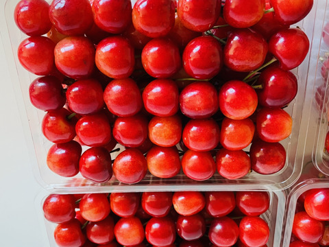 北海道産さくらんぼ【紅秀峰】2kg