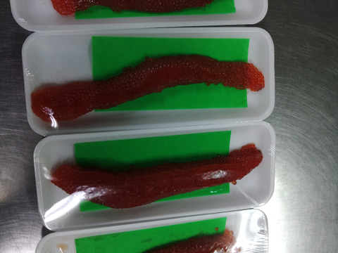 渓流 お刺身 サーモンフィレ大中込み約500g前後の2枚～3枚と焼サーモン棒寿司と酢シメサーモン押し寿司サーモントラウト塩筋子約180gセット