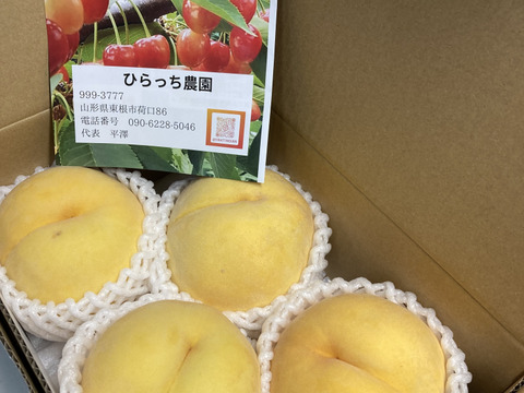 【お届けは8月下旬～】黄金桃(おうち用)「桃なのにマンゴーの様な香り♪」１．５ｋｇ（４～９玉）