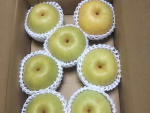 幸水梨 6～8玉 2.5ｋｇ