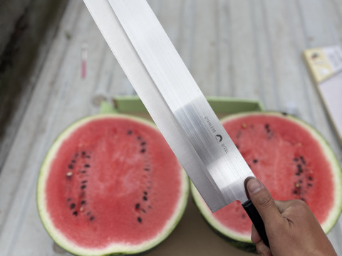 父の日のプレゼントに！シャリ感甘みしっかり極上スイカ11kg以上1個