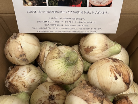淡路島　 新玉ねぎ！5ｋｇ　みずみずしく、柔らか〜い！　　【ひょうご安心ブランド認証】特別栽培　サラダ