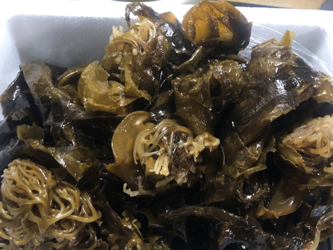 れいさん専用 新（生）ワカメ　3㎏