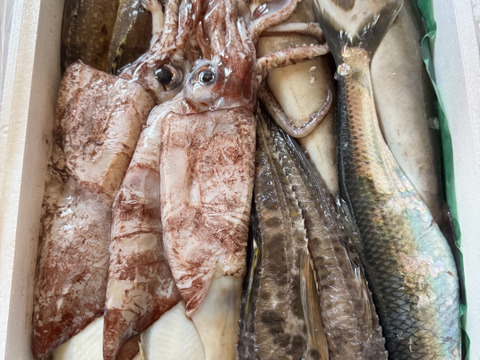 最短翌日発送】未利用魚ボックス5kg詰 (梅コース) 海鮮セット