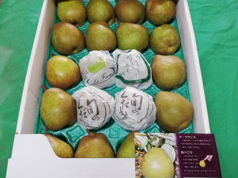 山形特産 お買い得 中玉サイズ、ラフランス5キロ(18~20玉)×二箱 送料+300円