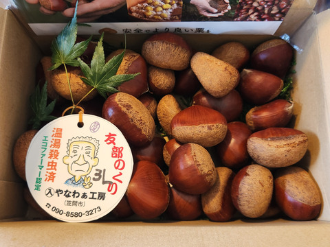 【メル】　茨城県【笠間の栗】　生栗　3kg imgrc0123030458.jpg