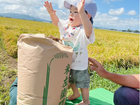 令和6年新米！　希少！　JAS認証有機栽培　玄米雪若丸　30キロ