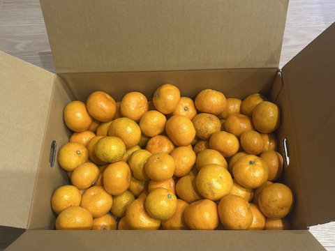 超小玉！2S～3S以下混合　箱込5kg　家庭用（早生）山口岩国みかん　小玉みかん
