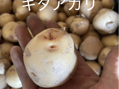 【食べ比べセット】絶品！希少品種込！新じゃがミックス　4種 4kg