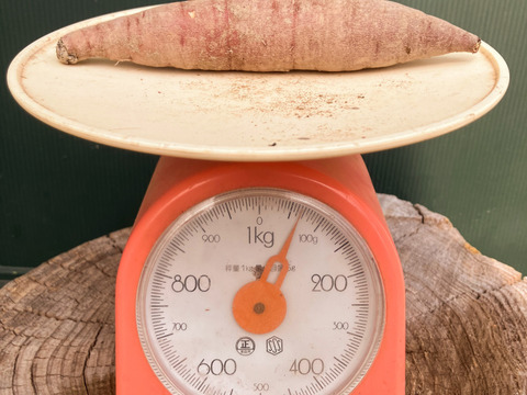 自然栽培〈ミニべにはるか〉大分県産さつまいも サイズ混合5kg