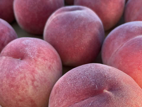 【ご自宅用】夢みずき2kg