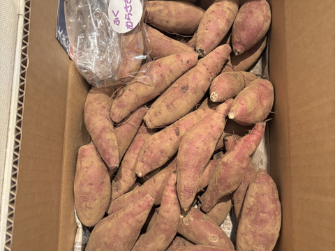 欲しかった❣️チビッコさつまいも🍠(紅はるか3kg)