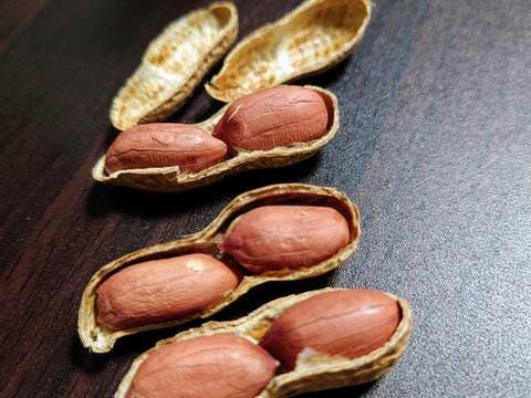 〜種まきから焙煎まで〜千葉県産煎り莢落花生　180g×2p