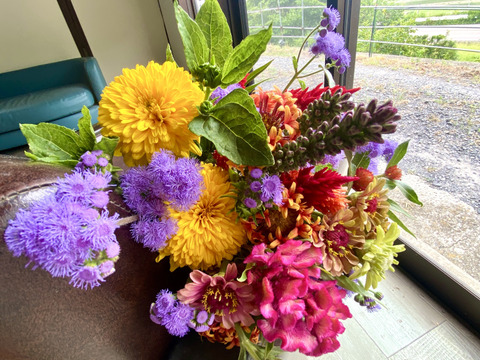 【世界のお花の定期便】月×2回の1年分のブーケ。 世界のお花の定期便】月×2回の1年分のブーケ。