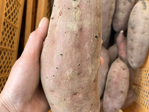 自然栽培〈規格外べにはるか〉大分県産さつまいも 4kg