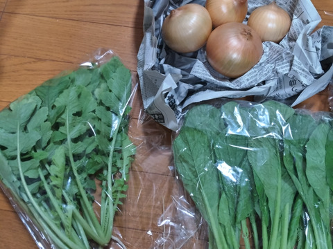 👑2年連続アワード受賞👑【未来をつくる笑み野菜】宮崎県産☆季節のお野菜セットM(8～9品程度)☆
