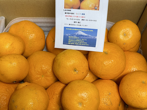 じゅ～し～ハルミ（大玉ミックス）５K箱