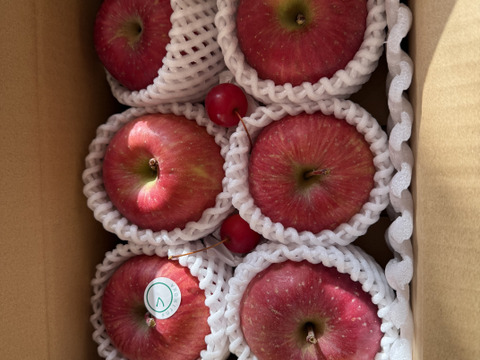 【葉とらずふじ】見た目よりも味重視なりんご【贈答規格1.5kg】