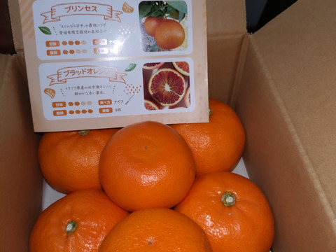 《豊作割引》【家庭用】せとか 2kg トロ～リ食感！柑橘の大トロ♡高級柑橘♫愛媛みかん！！