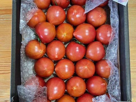 少し甘いトマト🍅80サイズ箱詰め