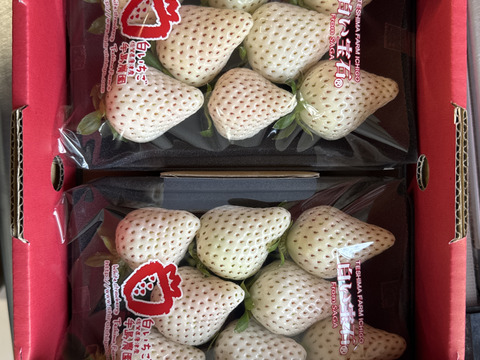 白い宝石®︎ 平パック1パック約215g×2パック